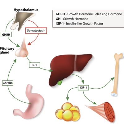 HGH Deficiency Treatment